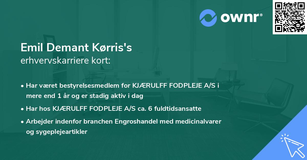 Emil Demant Kørris's erhvervskarriere kort