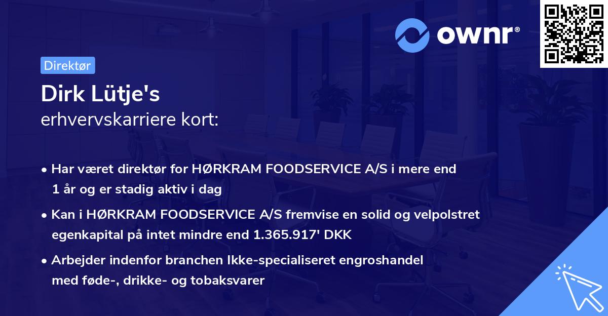 Dirk Lütje's erhvervskarriere kort