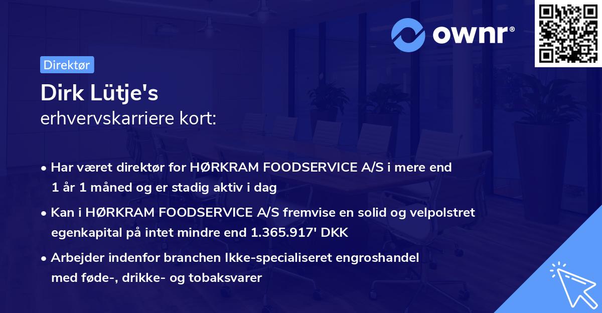 Dirk Lütje's erhvervskarriere kort