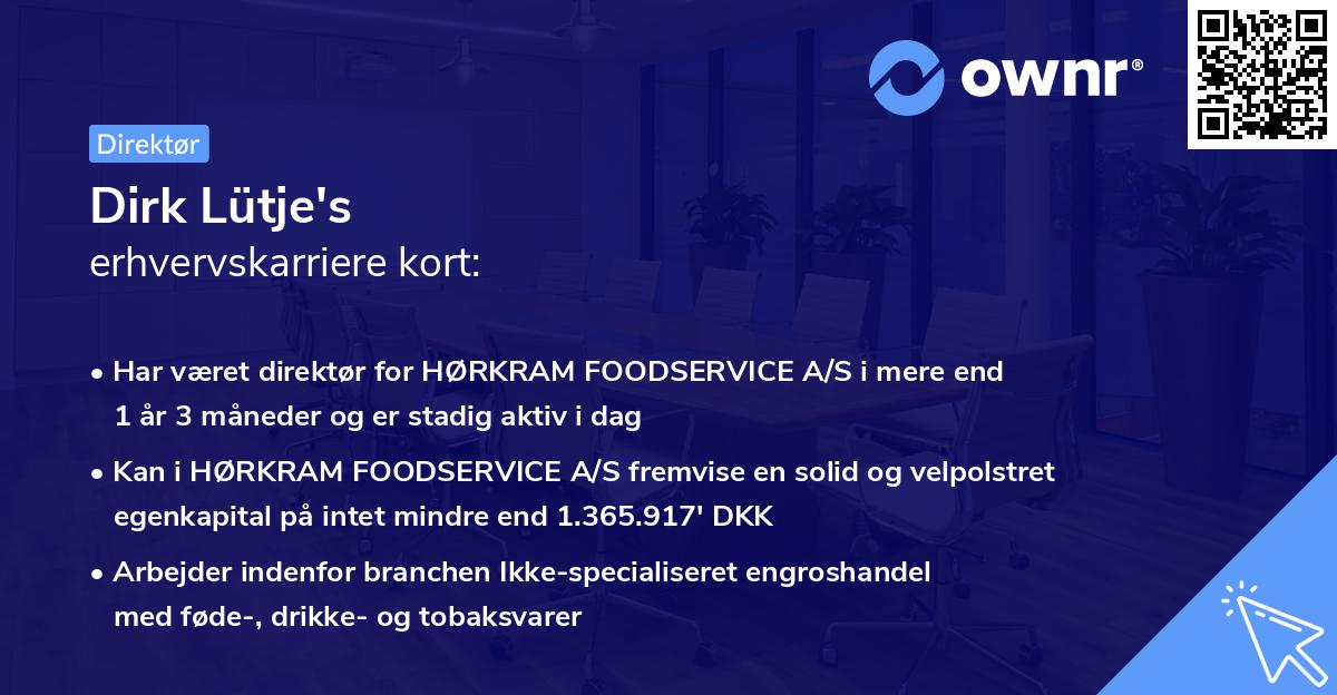 Dirk Lütje's erhvervskarriere kort