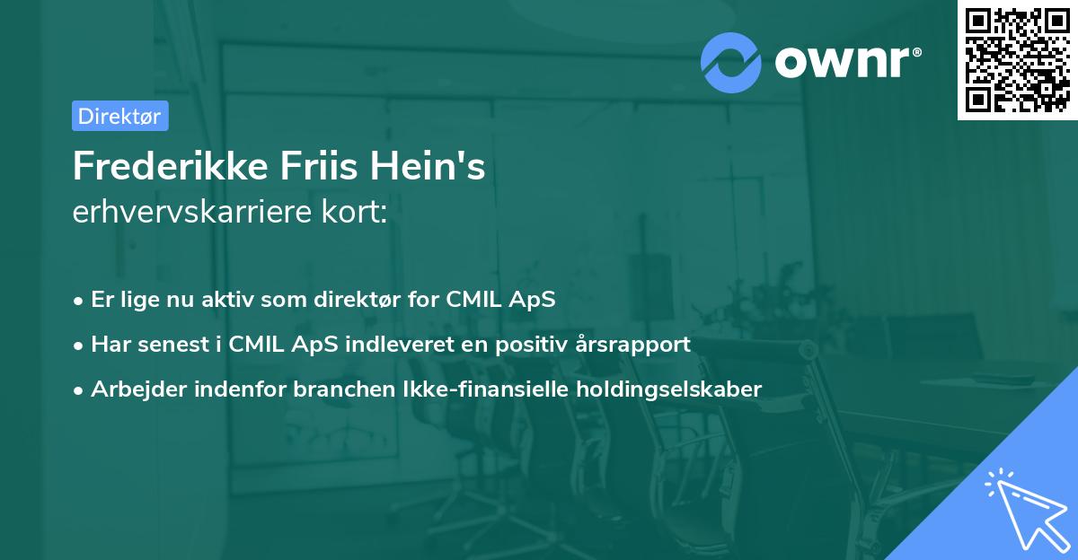 Frederikke Friis Hein's erhvervskarriere kort