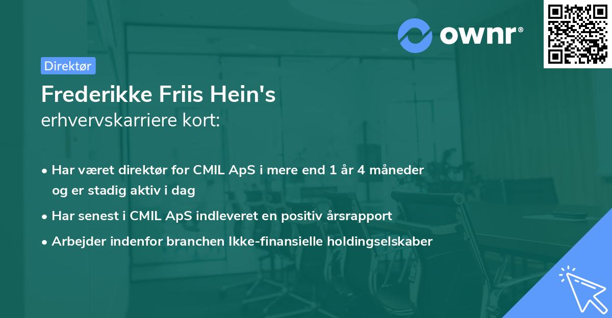 Frederikke Friis Hein's erhvervskarriere kort