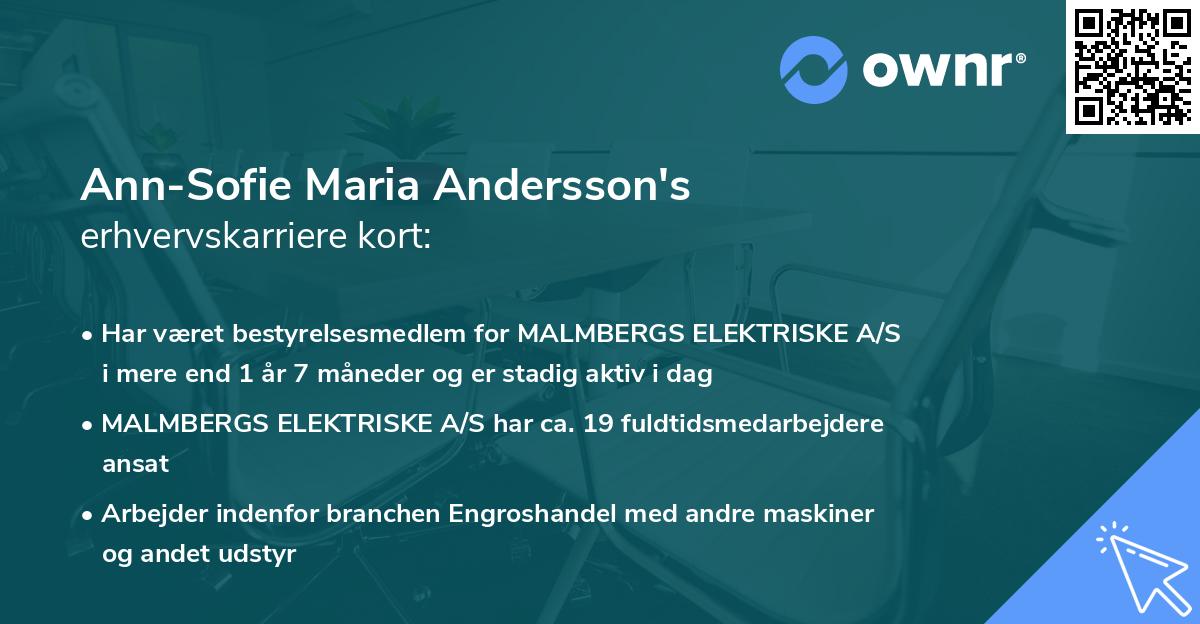 Ann-Sofie Maria Andersson's erhvervskarriere kort