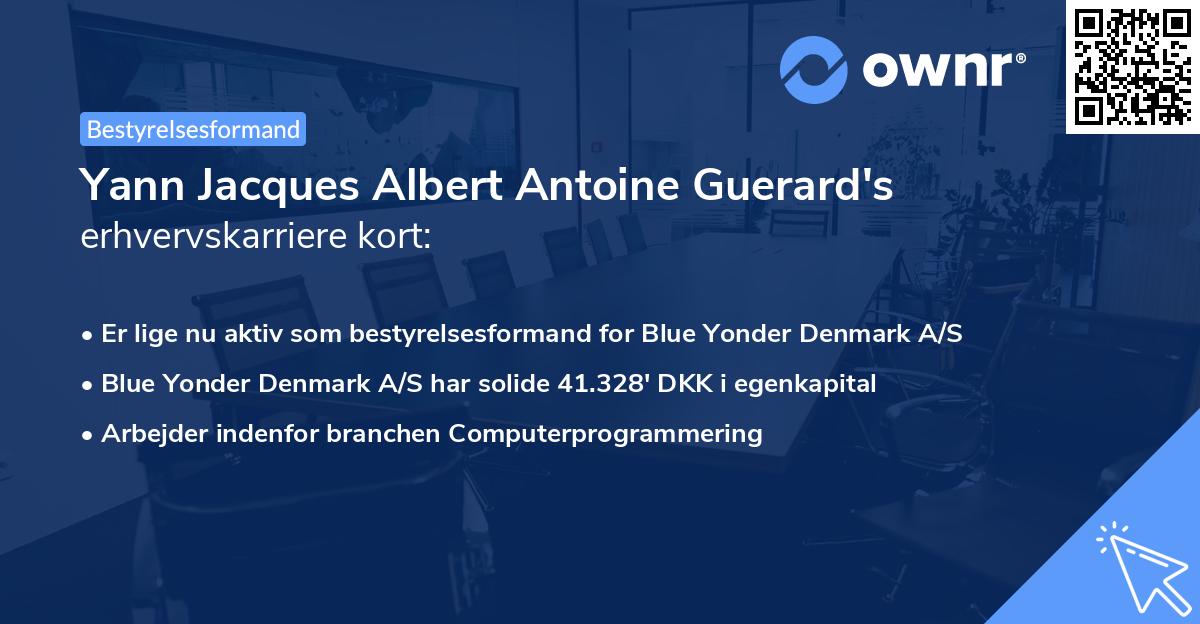Yann Jacques Albert Antoine Guerard's erhvervskarriere kort