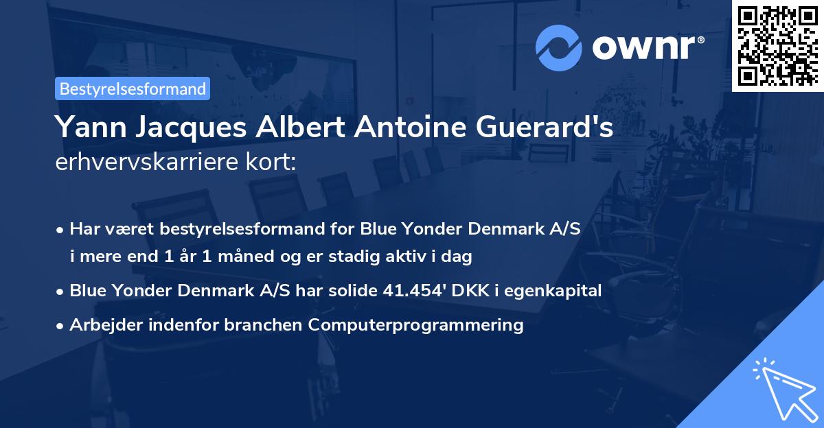Yann Jacques Albert Antoine Guerard's erhvervskarriere kort