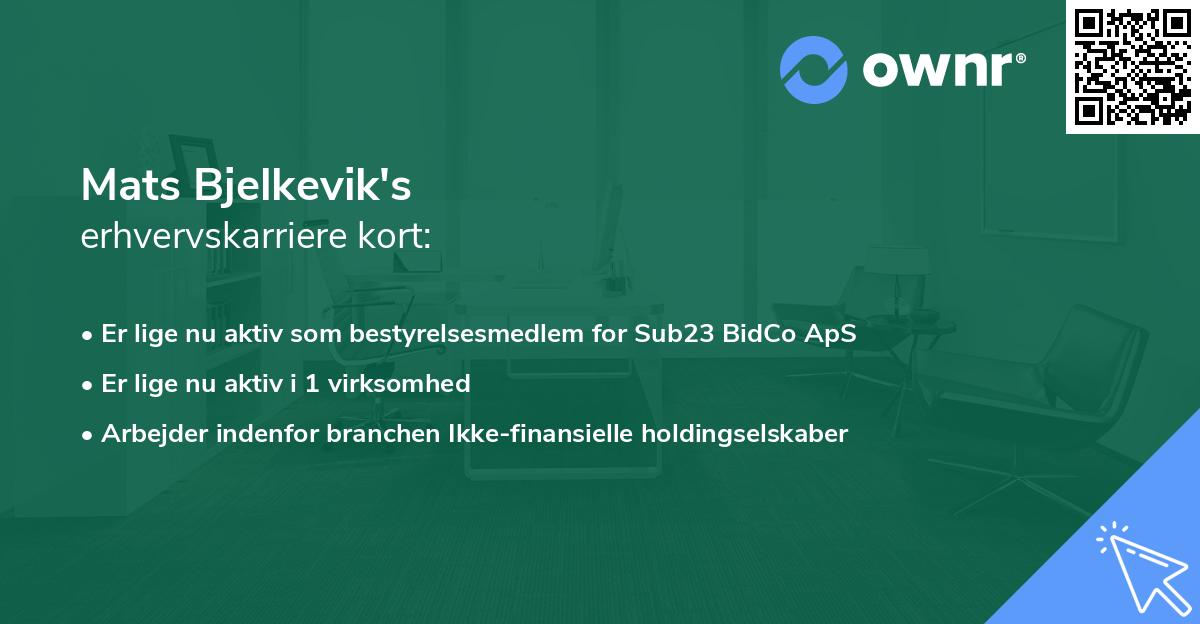 Mats Bjelkevik's erhvervskarriere kort