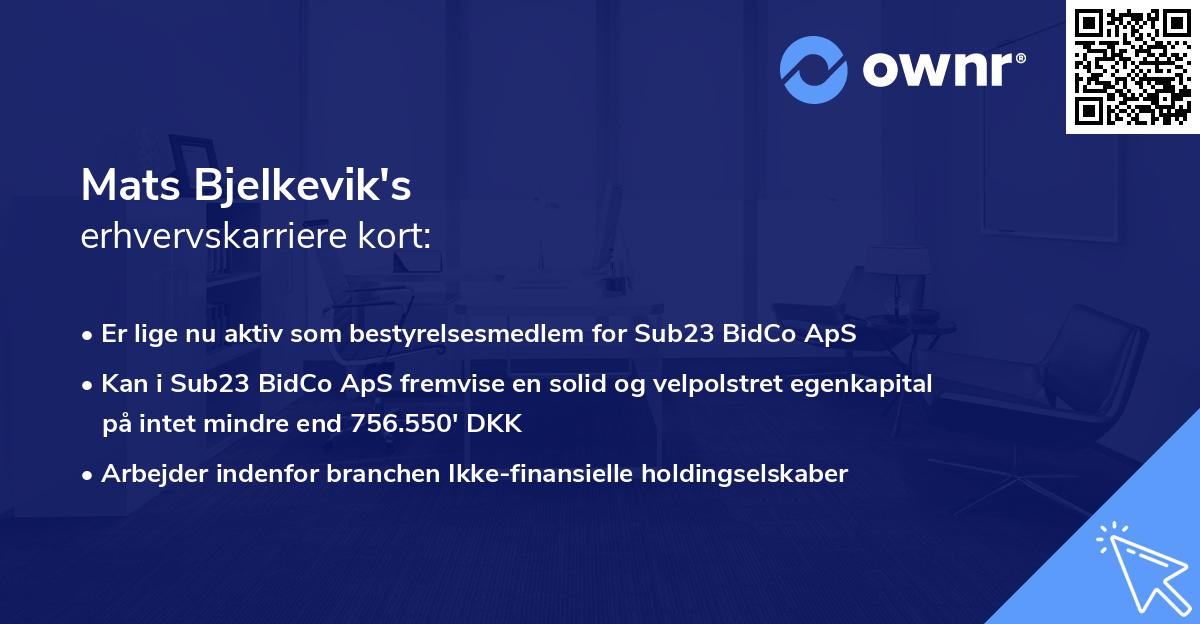 Mats Bjelkevik's erhvervskarriere kort