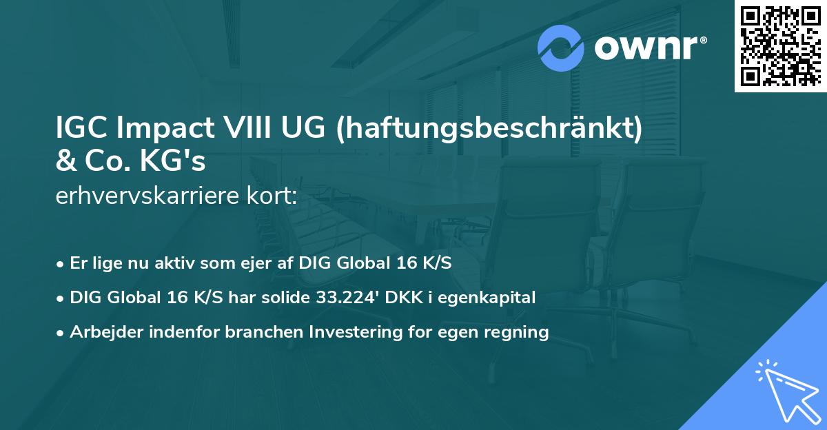 IGC Impact VIII UG (haftungsbeschränkt) & Co. KG's erhvervskarriere kort