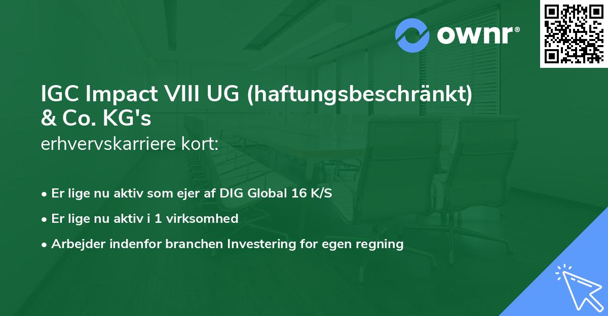 IGC Impact VIII UG (haftungsbeschränkt) & Co. KG's erhvervskarriere kort