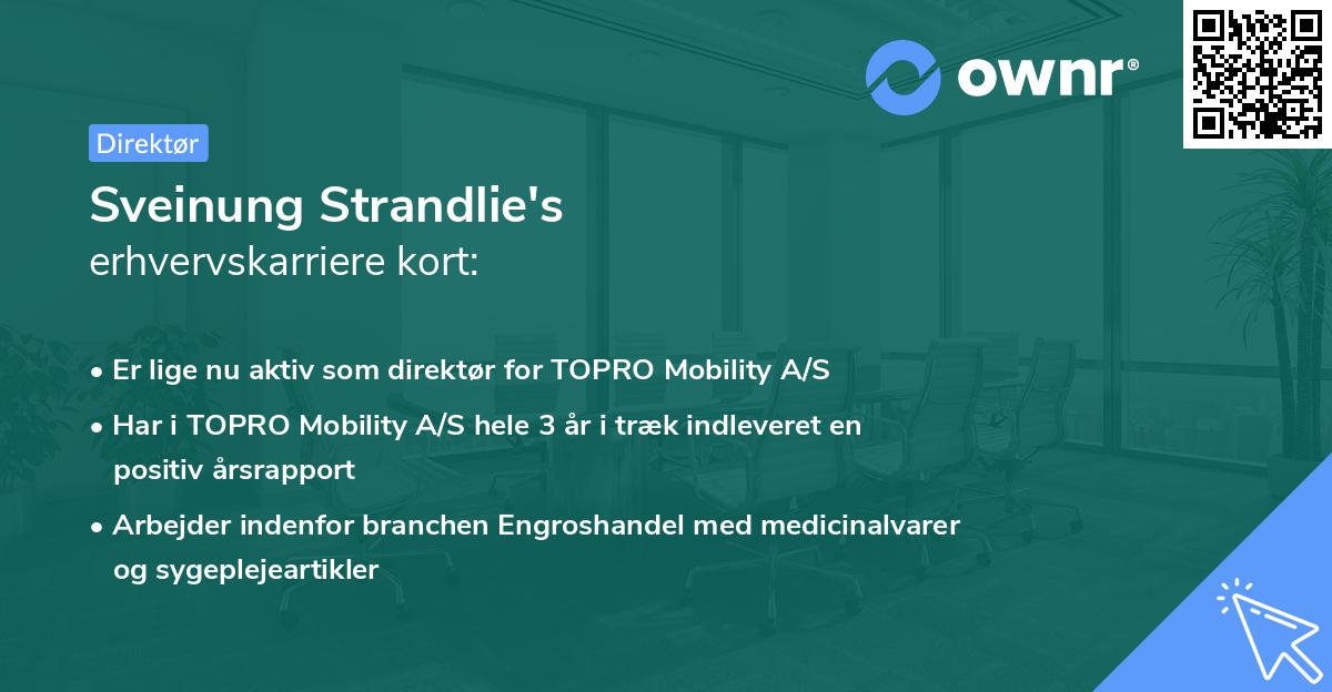 Sveinung Strandlie's erhvervskarriere kort