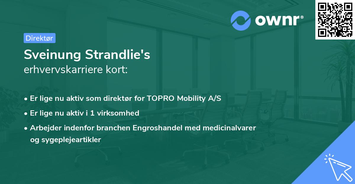 Sveinung Strandlie's erhvervskarriere kort