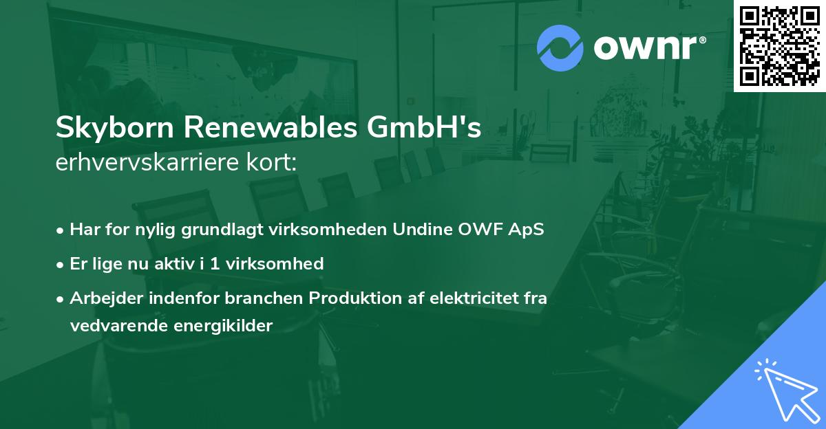 Skyborn Renewables GmbH's erhvervskarriere kort