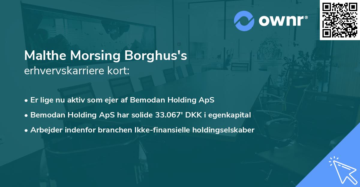 Malthe Morsing Borghus's erhvervskarriere kort