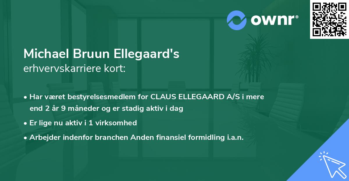 Michael Bruun Ellegaard's erhvervskarriere kort