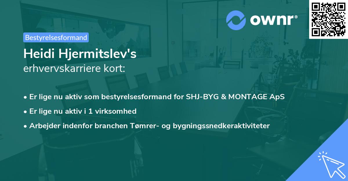 Heidi Hjermitslev's erhvervskarriere kort