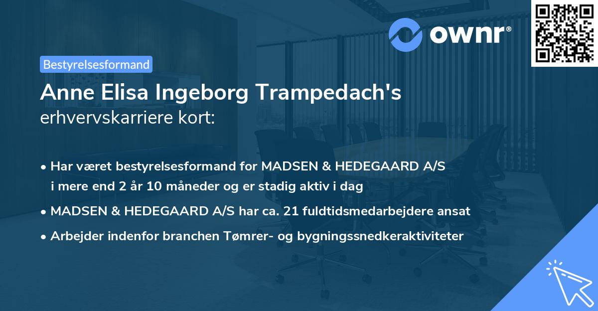 Anne Elisa Ingeborg Trampedach's erhvervskarriere kort