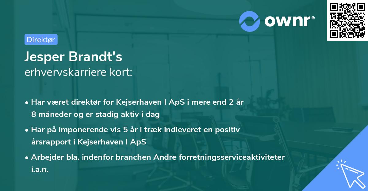 Jesper Brandt's erhvervskarriere kort