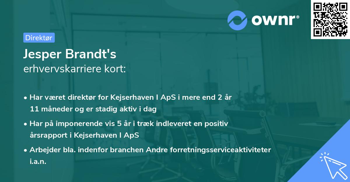 Jesper Brandt's erhvervskarriere kort