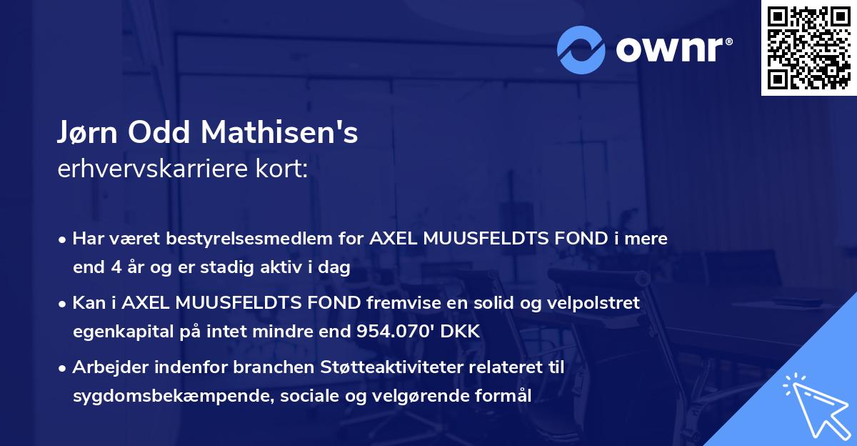 Jørn Odd Mathisen's erhvervskarriere kort