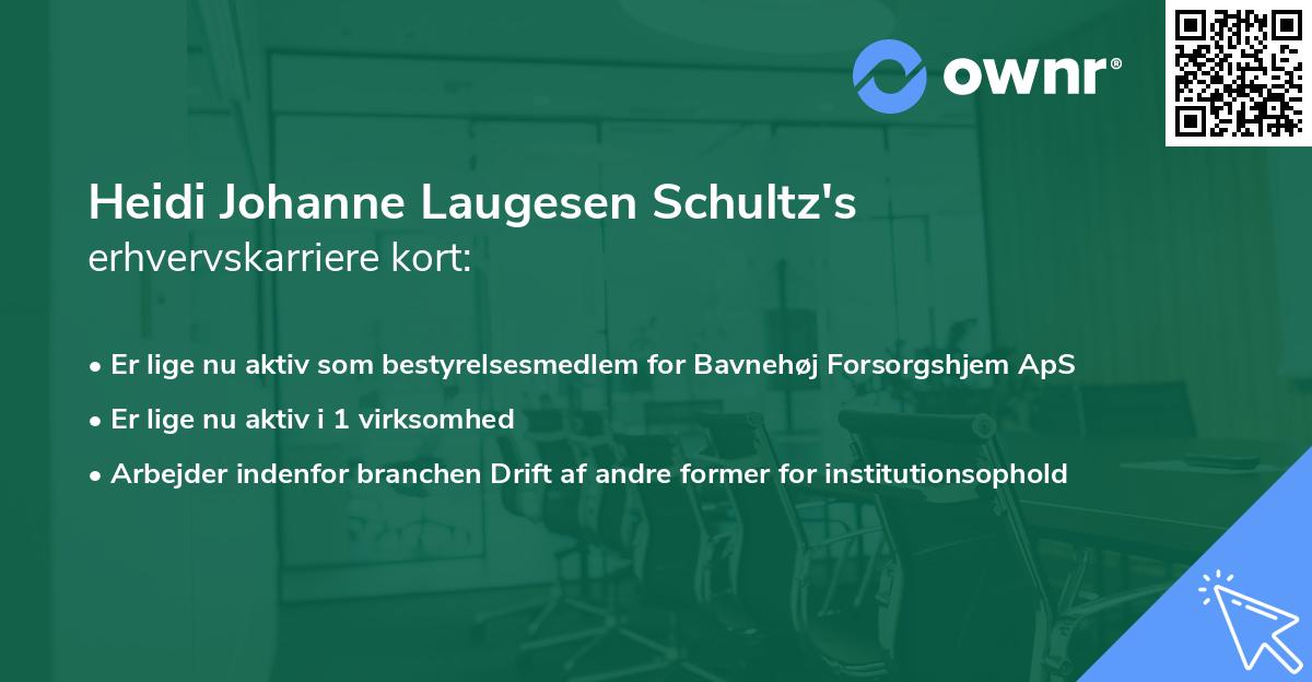 Heidi Johanne Laugesen Schultz's erhvervskarriere kort