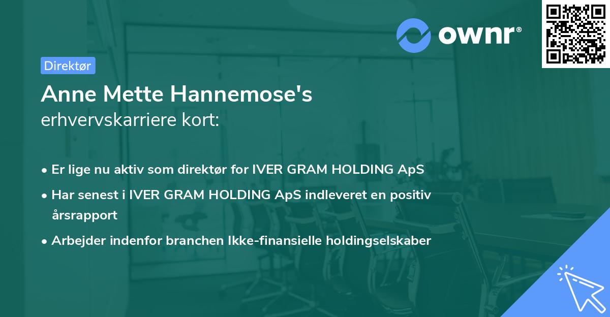 Anne Mette Hannemose's erhvervskarriere kort