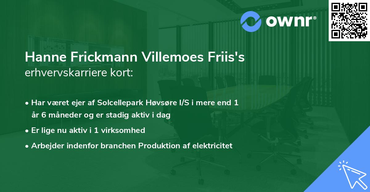 Hanne Frickmann Villemoes Friis's erhvervskarriere kort