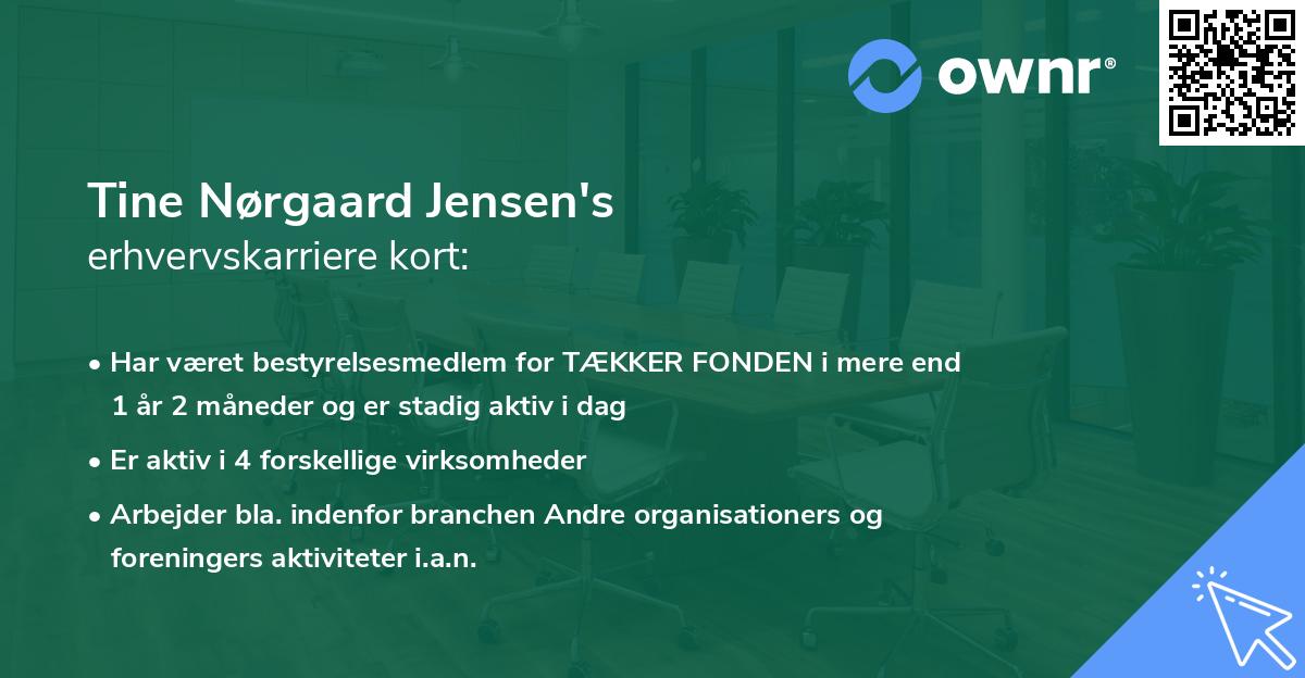 Tine Nørgaard Jensen's erhvervskarriere kort