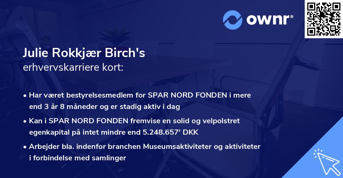 Julie Rokkjær Birch's erhvervskarriere kort