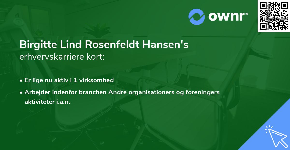Birgitte Lind Rosenfeldt Hansen's erhvervskarriere kort