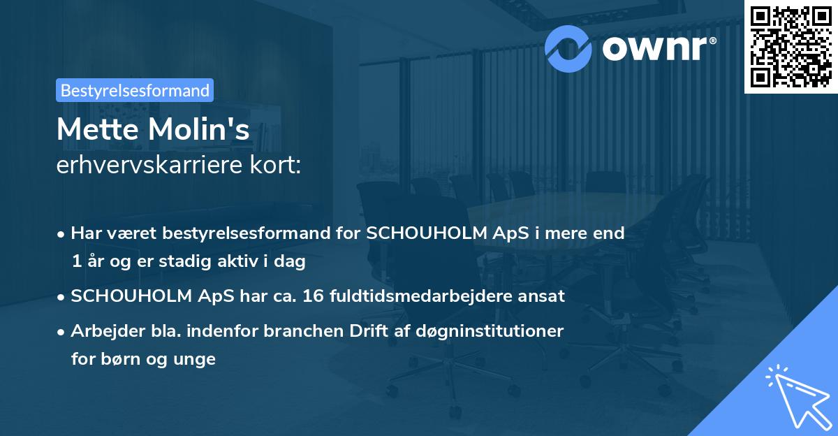 Mette Molin's erhvervskarriere kort