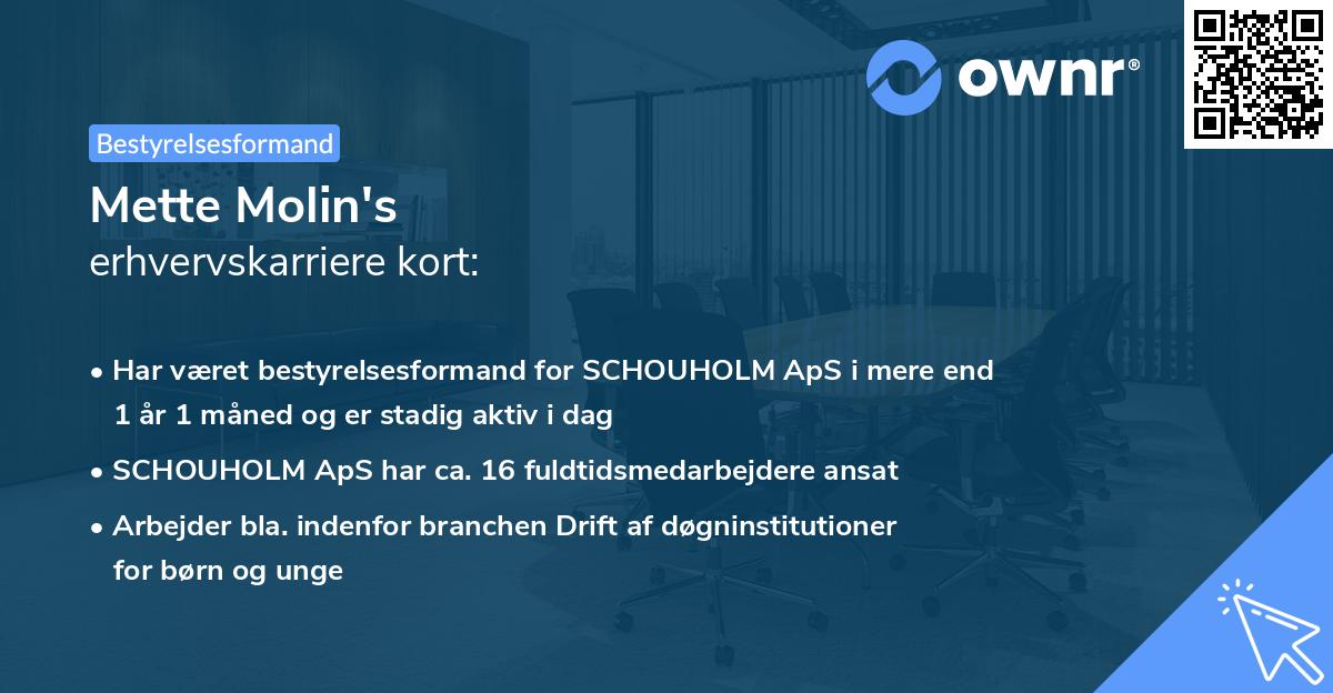 Mette Molin's erhvervskarriere kort