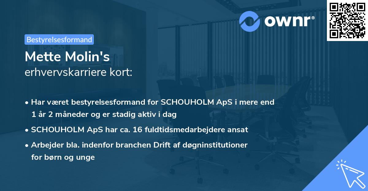 Mette Molin's erhvervskarriere kort