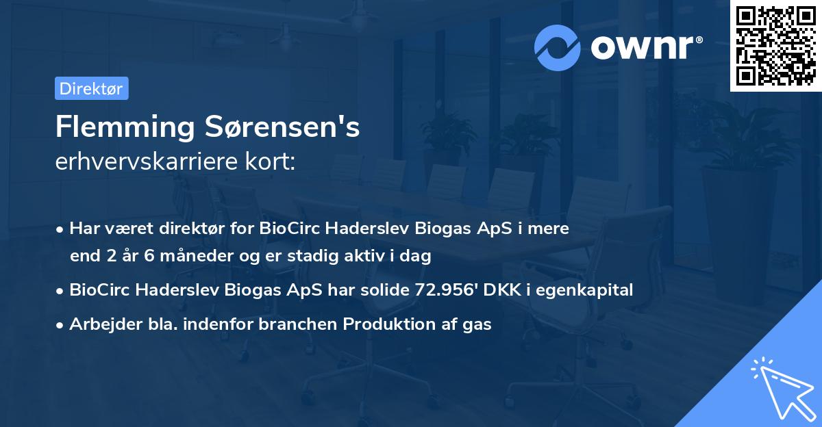 Flemming Sørensen's erhvervskarriere kort