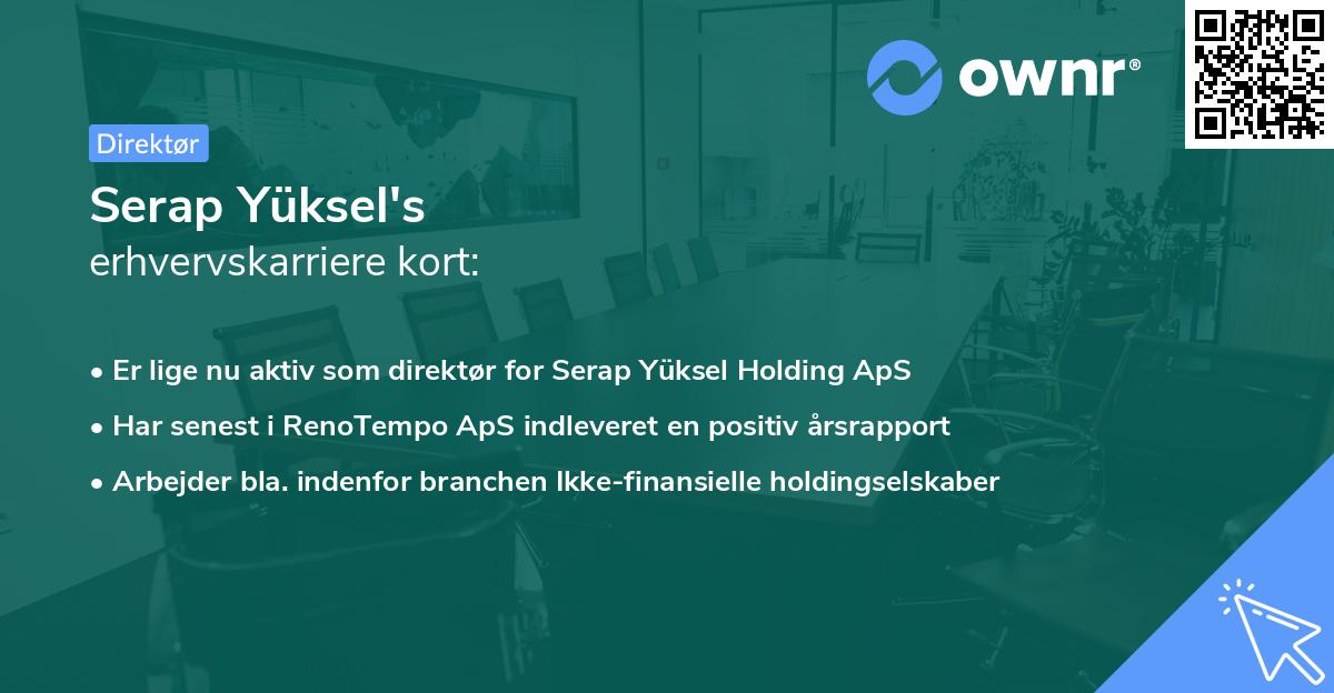 Serap Yüksel's erhvervskarriere kort