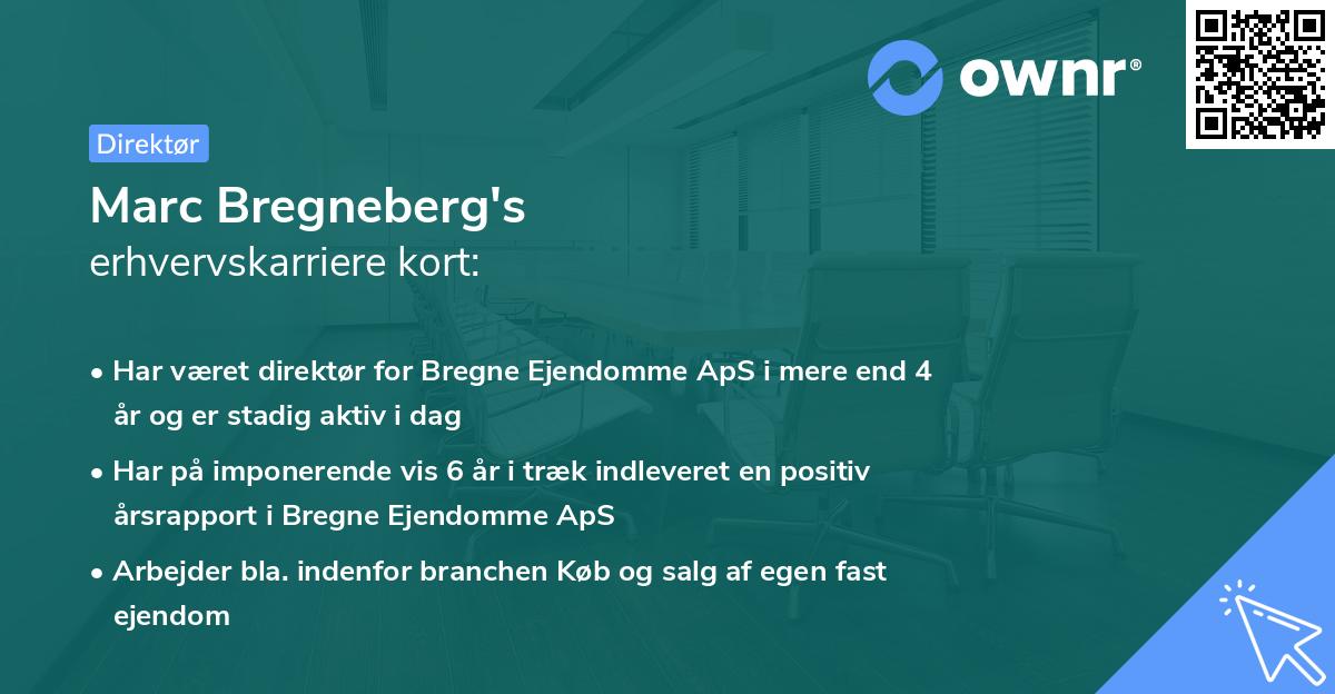 Marc Bregneberg's erhvervskarriere kort