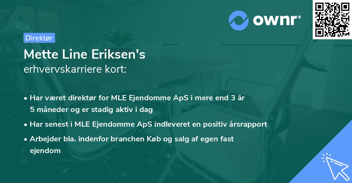 Mette Line Eriksen's erhvervskarriere kort