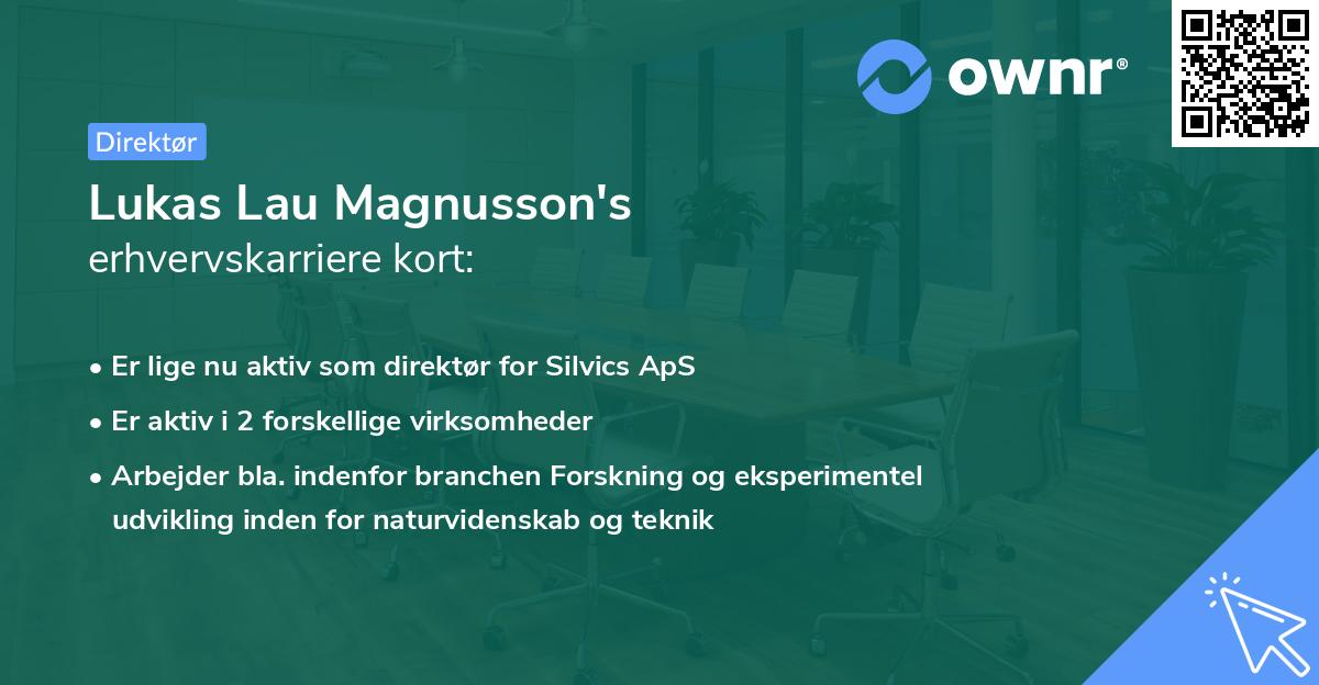 Lukas Lau Magnusson's erhvervskarriere kort