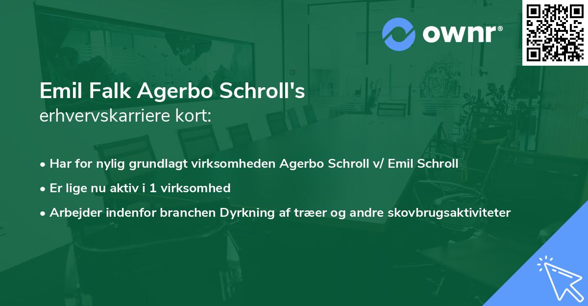 Emil Falk Agerbo Schroll's erhvervskarriere kort