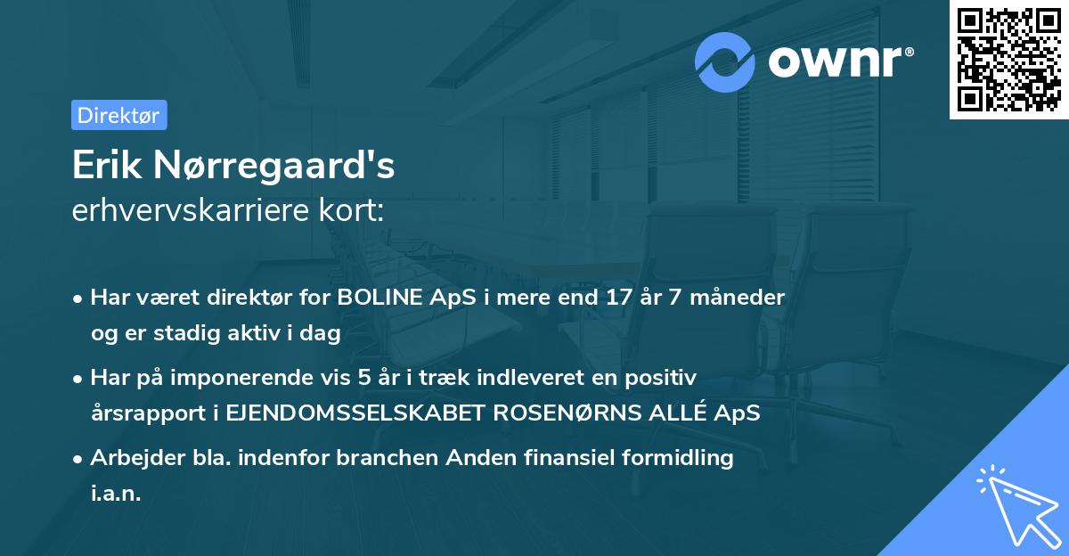 Erik Nørregaard's erhvervskarriere kort