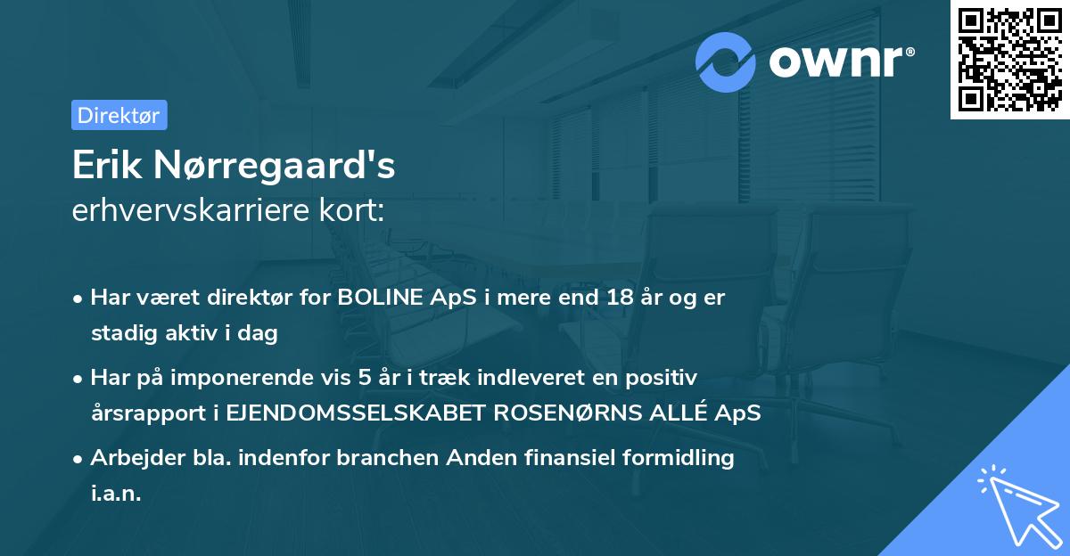 Erik Nørregaard's erhvervskarriere kort