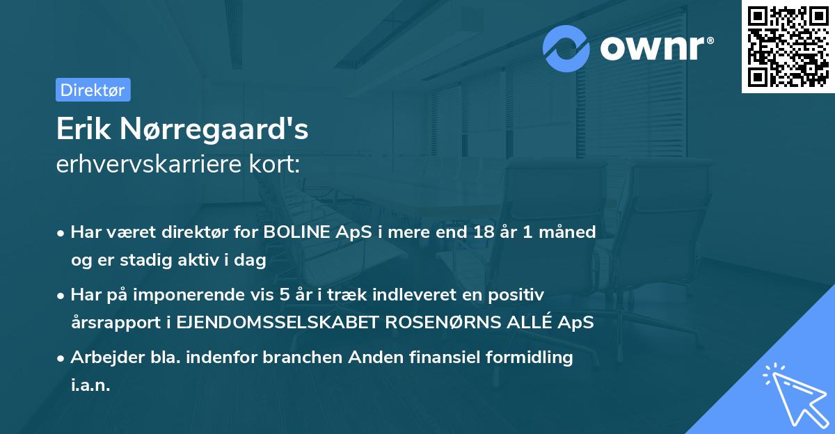 Erik Nørregaard's erhvervskarriere kort