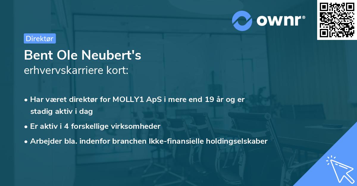 Bent Ole Neubert's erhvervskarriere kort