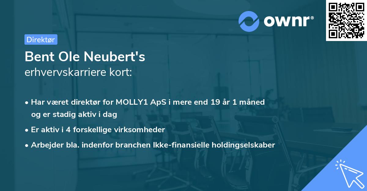 Bent Ole Neubert's erhvervskarriere kort