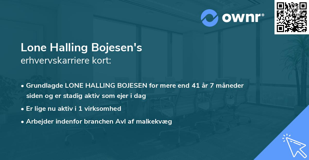 Lone Halling Bojesen's erhvervskarriere kort