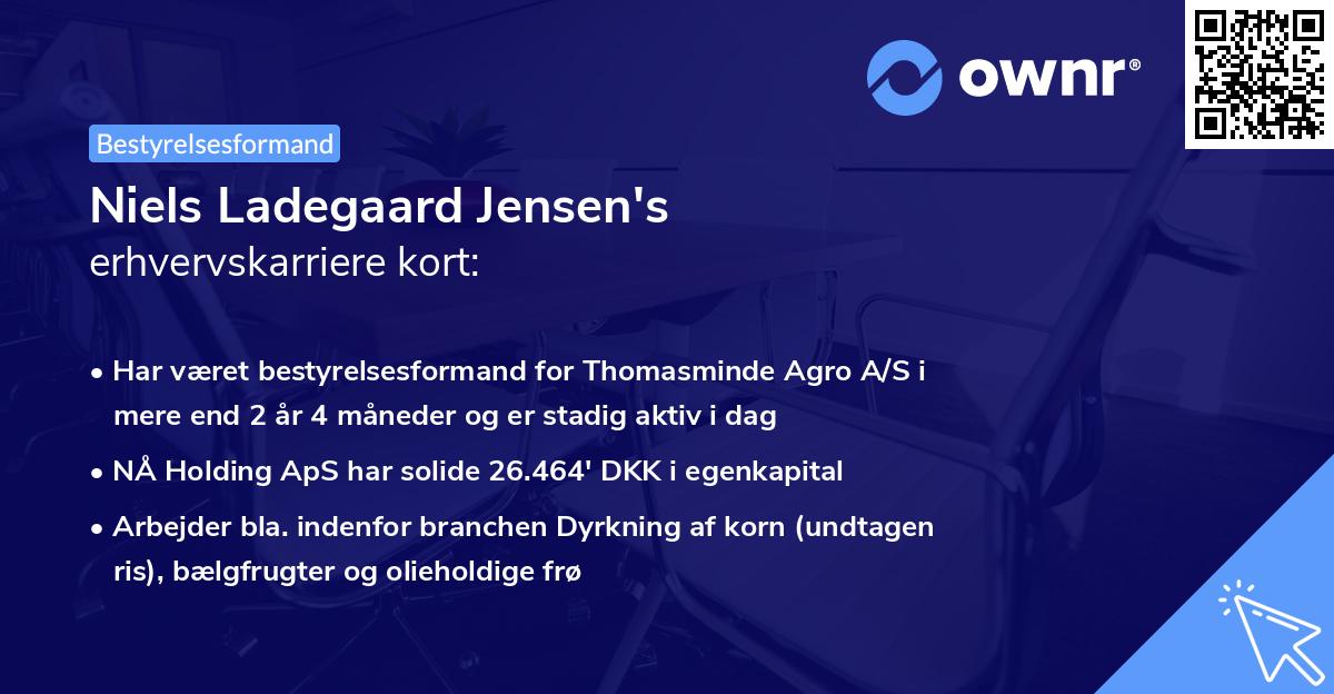 Niels Ladegaard Jensen's erhvervskarriere kort