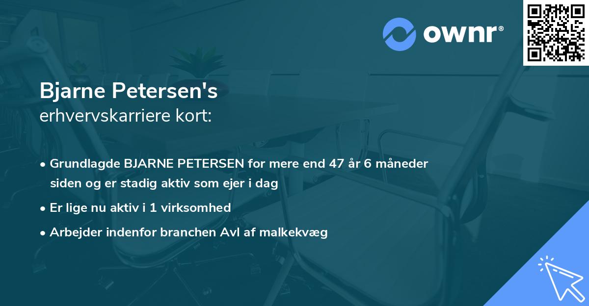 Bjarne Petersen's erhvervskarriere kort