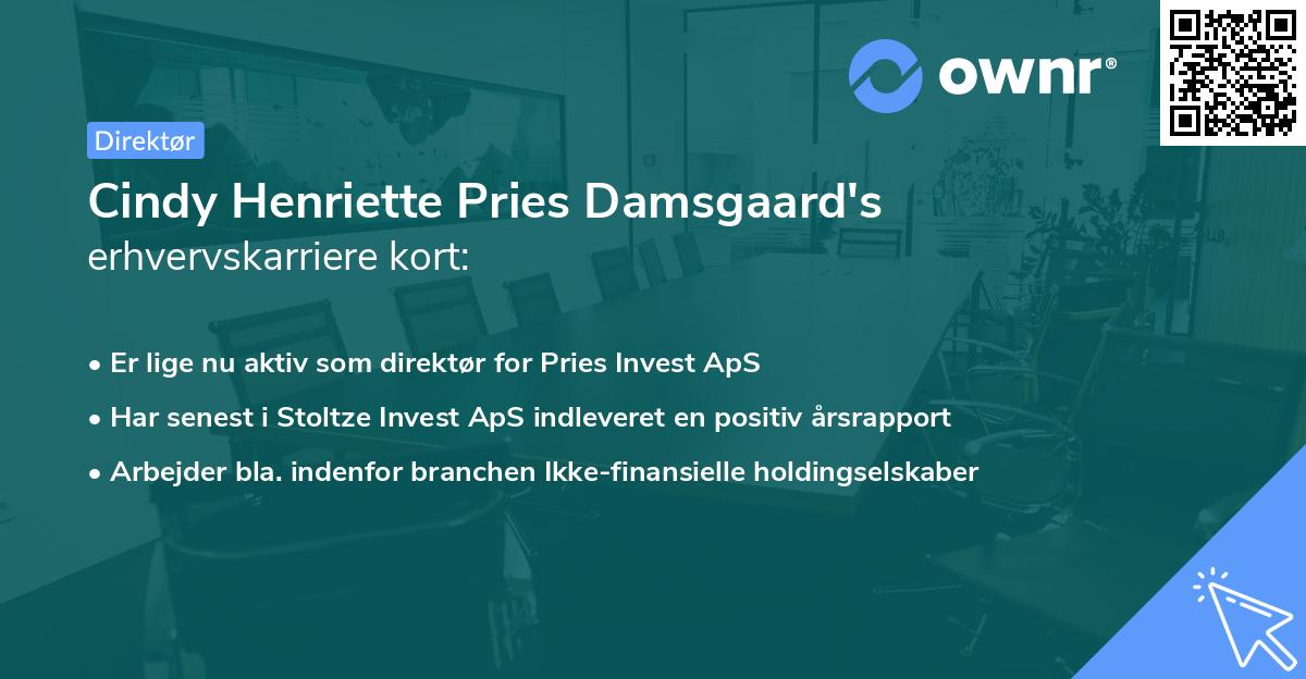 Cindy Henriette Pries Damsgaard's erhvervskarriere kort