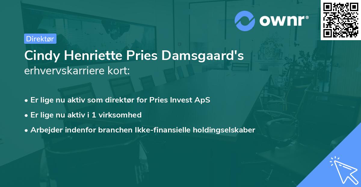 Cindy Henriette Pries Damsgaard's erhvervskarriere kort