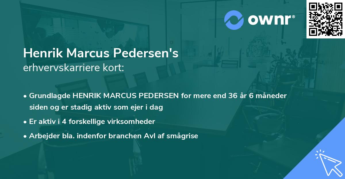 Henrik Marcus Pedersen's erhvervskarriere kort