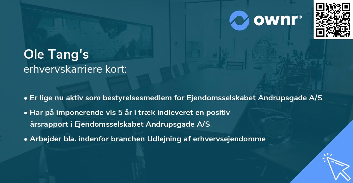 Ole Tang's erhvervskarriere kort